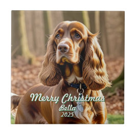 Personalizar o Cocker Spaniel de Foto