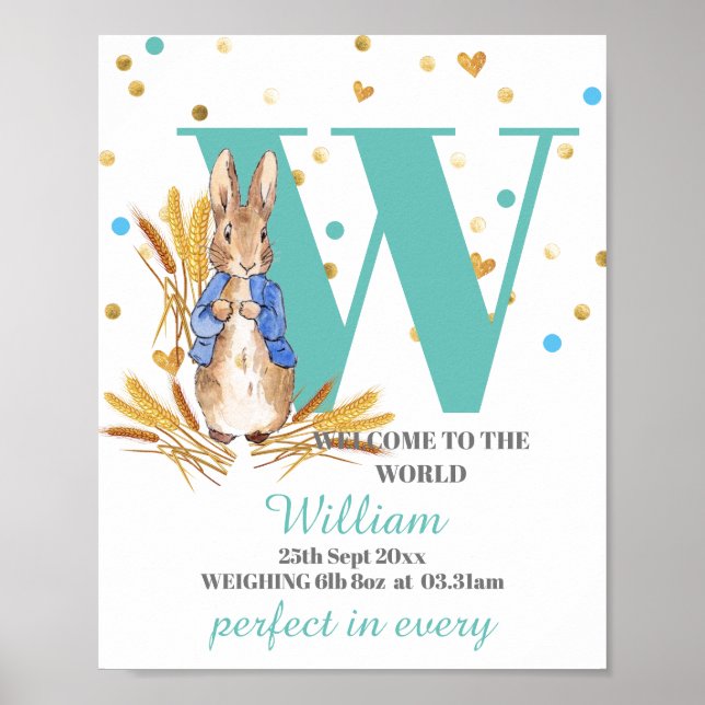 Personalizar Poster de Nascimento do Bebê Boy (Frente)