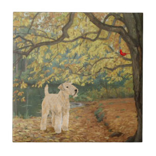 Personalizar produto