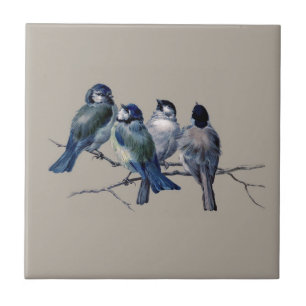 Personalize adoráveis aves azuis da arte safena n
