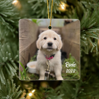 Personalize com seu ornamento cerâmico Pet Picture