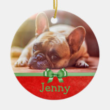 Personalize este Ornamento com a sua Imagem de Pet