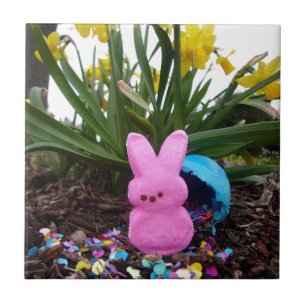 Personalize o destino da arte do amor da paz do