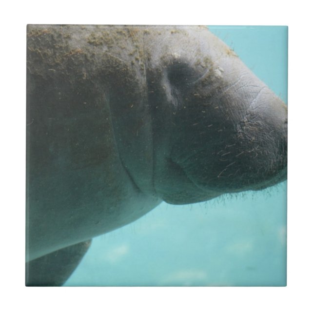 Personalize o produto (Frente)