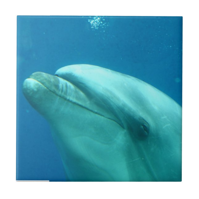 Personalize o produto (Frente)