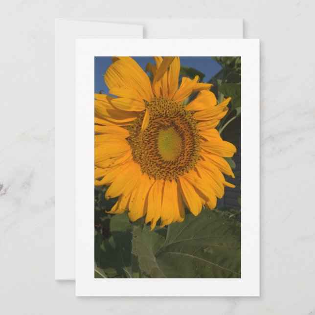 Personalize seu convite personalizado de cartão (Frente)