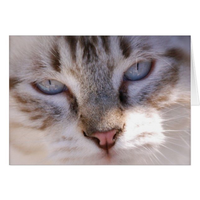 Personalize seu próprio cartão do animal de (Frente Horizontal)