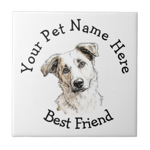 Personalize Sua Foto de Animal de Estimação