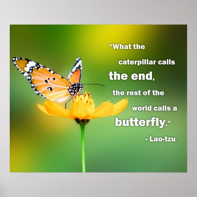 Perspectiva Poster Lao Tzu (Frente)