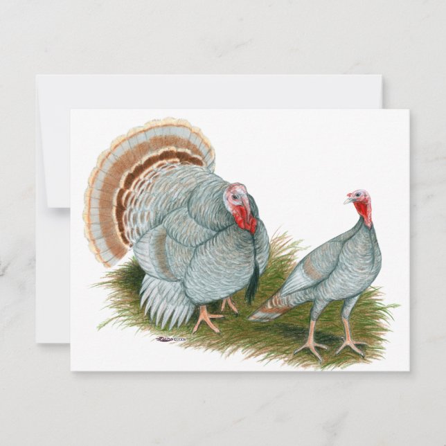 Perus: Lilac (Frente)