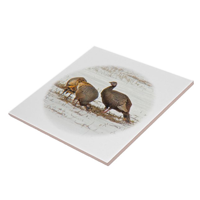 Perus Selvagens em Neve (Lateral)