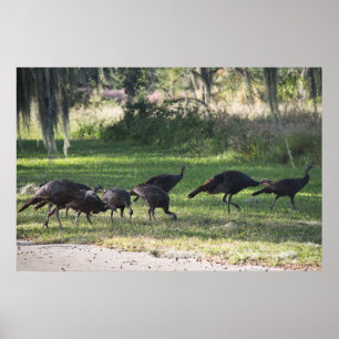 Perus Selvagens em Poster de Fotografia Grass