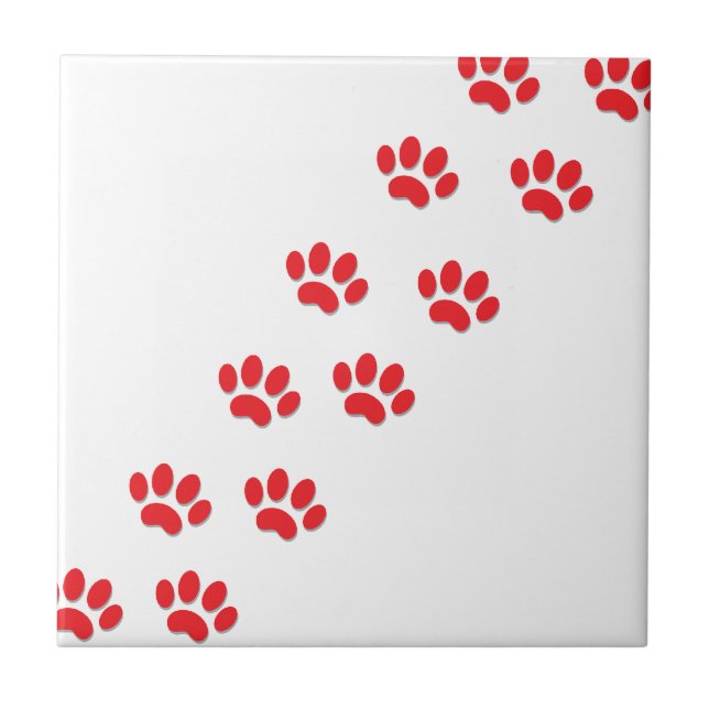 Pés de Cat Paws (Frente)