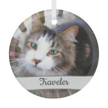 Pés De Gato Bonito Criam O Seu Próprio Personaliza