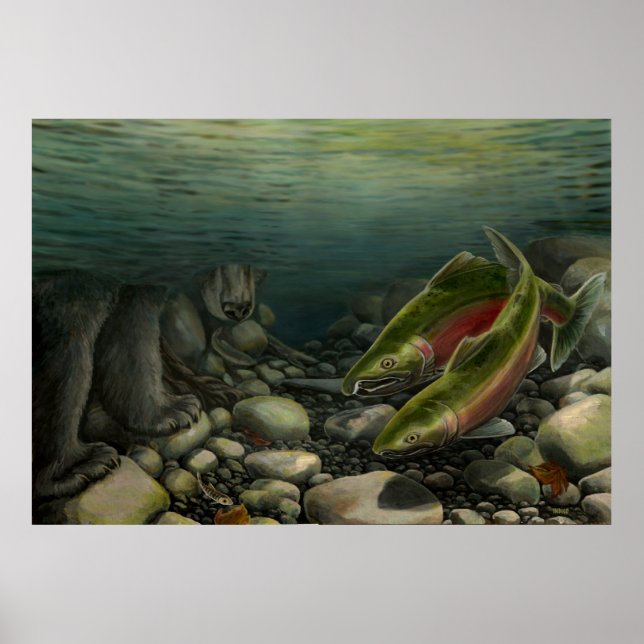 Pesca da Poster natural Urso de Pesca Selvagem Imp (Frente)