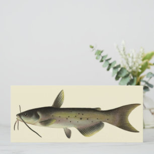 Pesca de Bagre, Vida Marinha Antiga Peixe de Rio