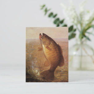 Pesca Desportiva Vintage, Peixe-Baixo-Marrom