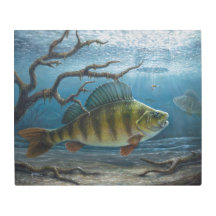 Pesca no Gelo de Perca
