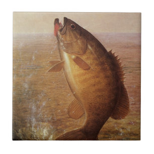 Pesca Vintage, Pequena Boca de Bass Saltando na Li