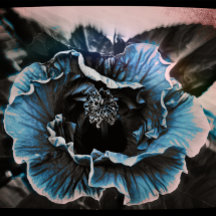 peso de papel púrpura floral