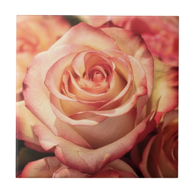 Pêssego Rosa (Frente)