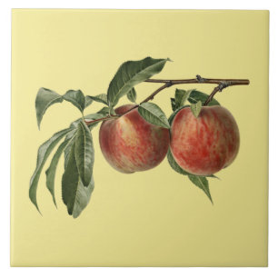 Pêssegos Carman ~ Azulejo Botânico ~ Cozinha ~ Qua