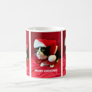Pêssegos de Natal metidos a caneca de gato Tuxedo