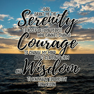 Pessoas estúpidas, camiseta de oração da serenidad