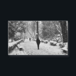 Pessoas no parque em um dia de inverno nevado<br><div class="desc">Pessoas caminham no parque em um dia de inverno em Istambul. Neva muito. Conceito de beleza da natureza e pessoas no inverno.</div>