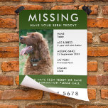 Pet ausente | Folheto de Poster de Fotografia Verd<br><div class="desc">Um simples modelo de poster de panfleto para animais de estimação, para ajudar a espalhar a consciência na busca de um cão, gato ou outro animal de estimação desaparecido. O texto é fácil de personalizar, incluindo nome, idade, raça, data faltando, local visto pela última vez, recompensa ou outras informações. Há...</div>
