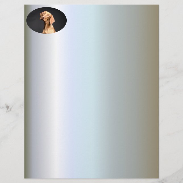 Pet Brown Beagle Dog (Frente)