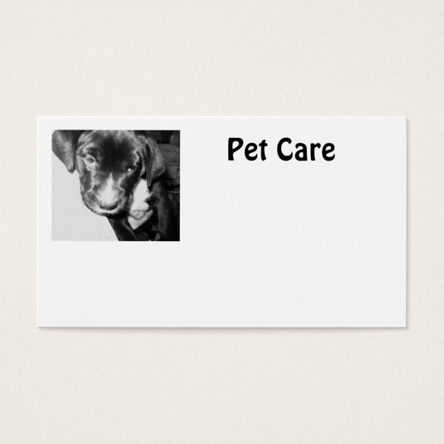 Pet Care (Frente)