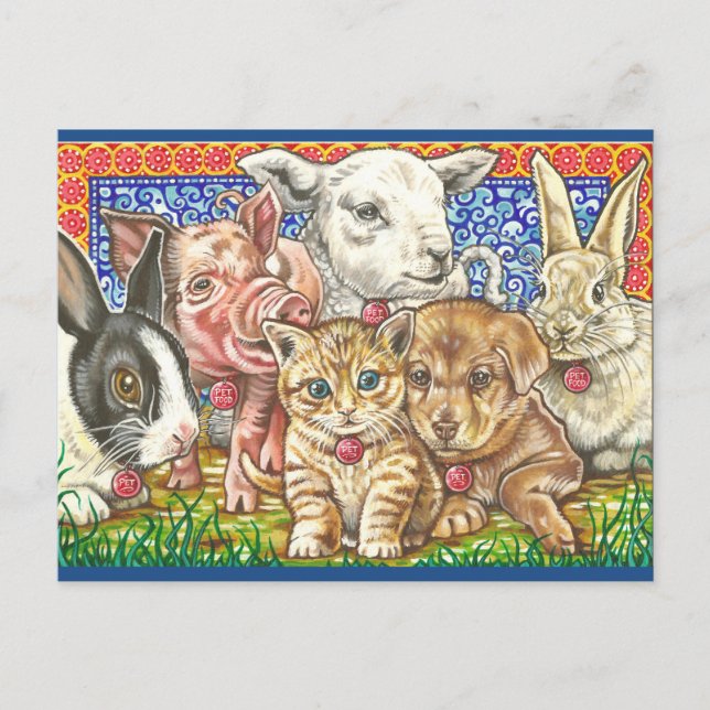 "Pet; Comida. Cartão Postal (Frente)