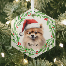 Pet de Férias Pomeranianas de Cão de Natal