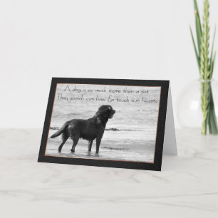 Pet Dog Cartão de condolências - Toque em Nossos C