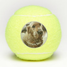Pet Dog Photo Name Playtoy