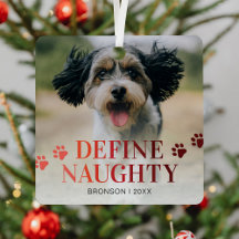 Pet Engraçado Define Natal Malvado
