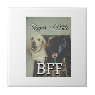 Pet Frities adiciona nome e foto animal amor