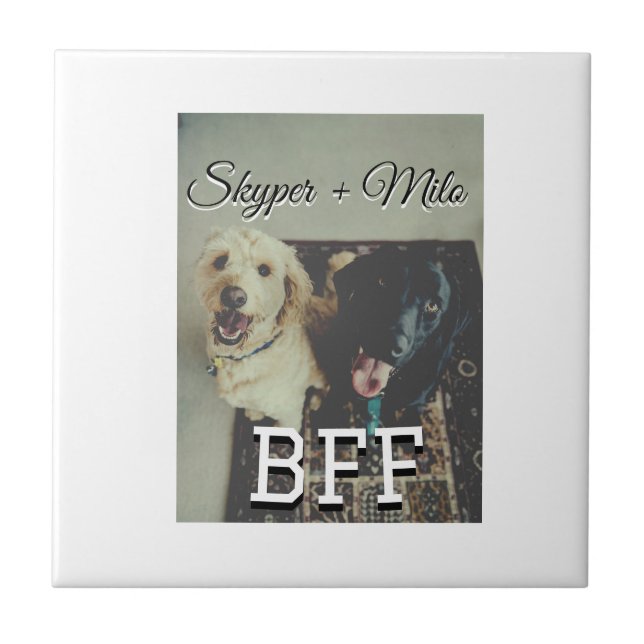 Pet Frities adiciona nome e foto animal amor (Frente)