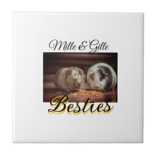 Pet Frities adiciona nome e foto animal amor