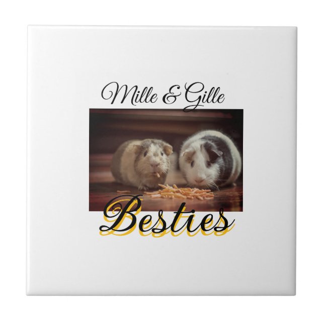 Pet Frities adiciona nome e foto animal amor (Frente)