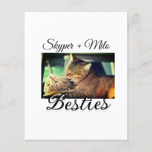 Pet Frities adiciona nome e foto animal amor