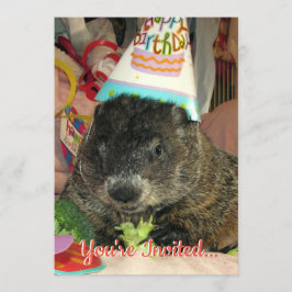 Pet Groundhog Moses Convite Aniversário