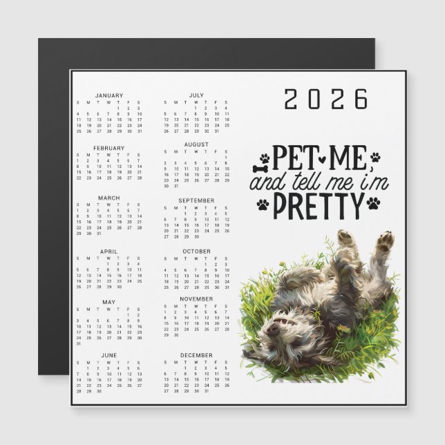 Pet Me and Tell Me I'm Pretty Dog (Frente/Verso)