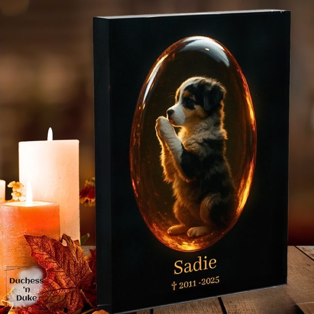 Pet Memorial Australian Shepherd Amber Canvas  (Pet Memorial Australian Shepherd Amber Art Print)