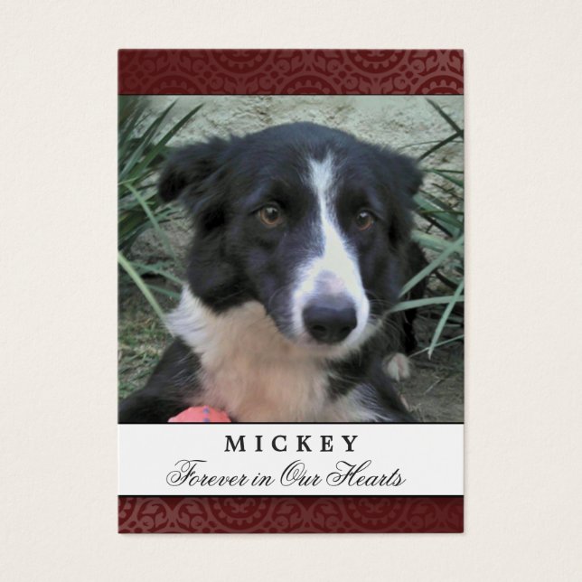 Pet Memorial Card Maroon Photo - Não Chame Poem (Frente)
