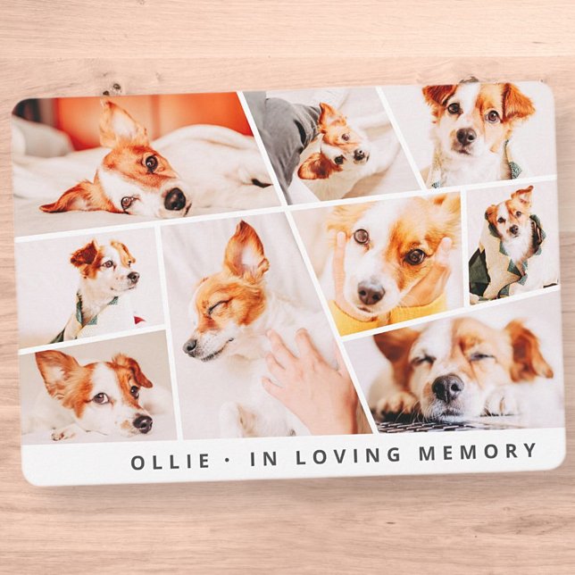 Pet Memorial Modern Simple Chic 9 Collage (Criador carregado)