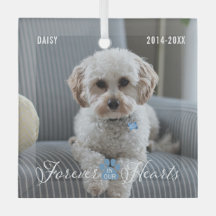 Pet Memorial Pet Loss Keepsasaame Foto e Nome