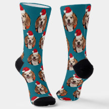 Pet Photo Dark Teal Santa Hats Natal