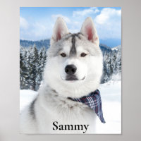 Pet Photo Name Impressão, Value Poster Paper (Matt